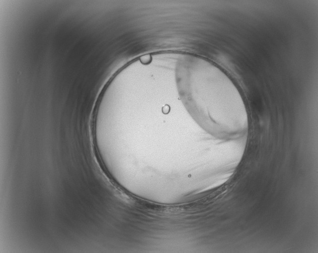 X0000063471291200602101731