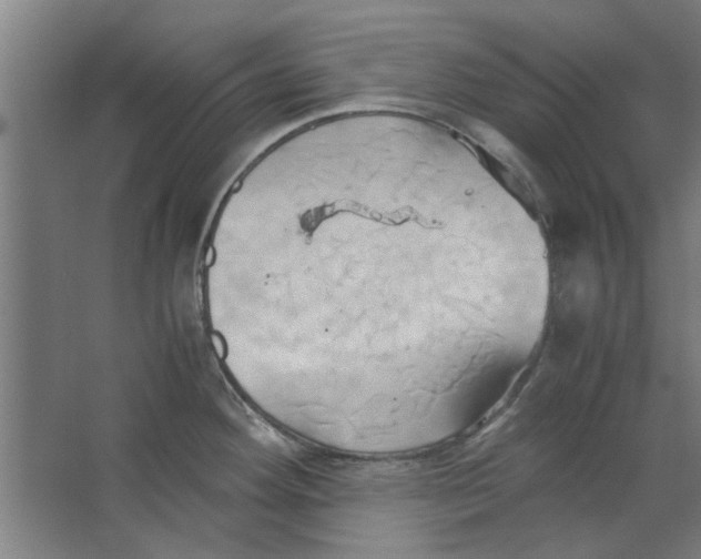 X0000063471292200602101731