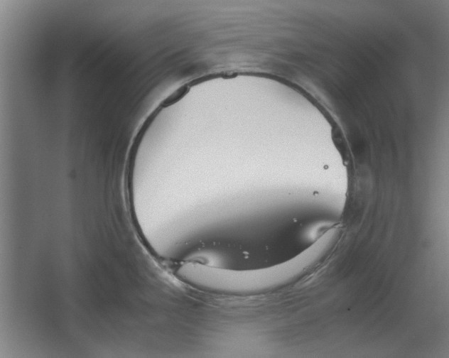 X0000063471293200602101731