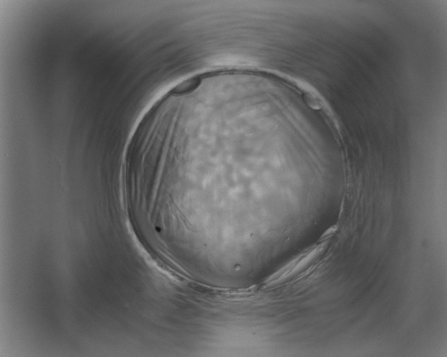 X0000063471295200602101731