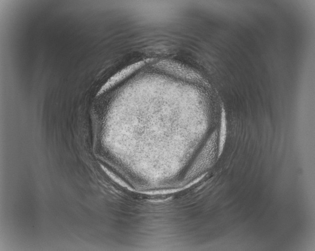 X0000063471297200602101730