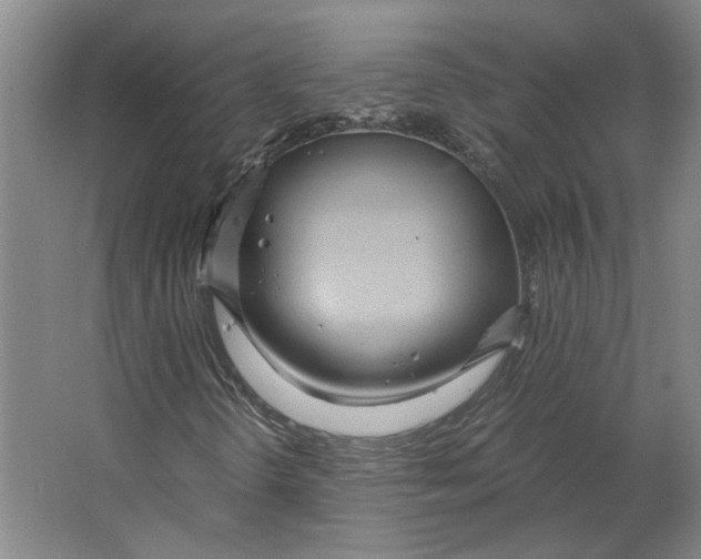 X0000063471298200602101730