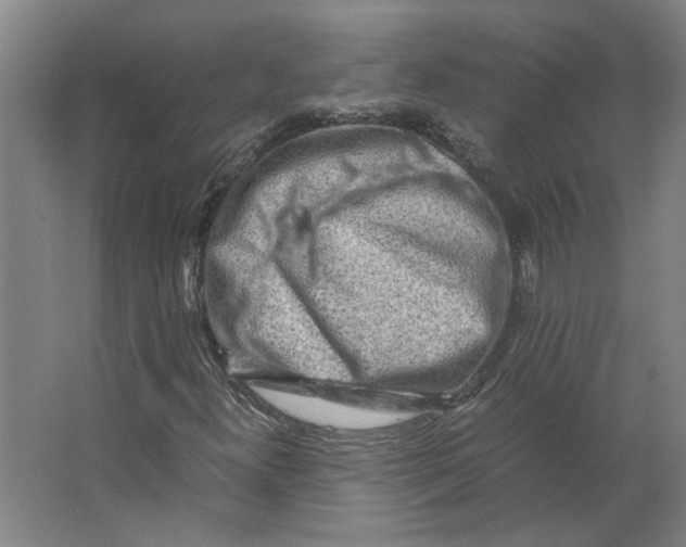 X0000063471300200602101730