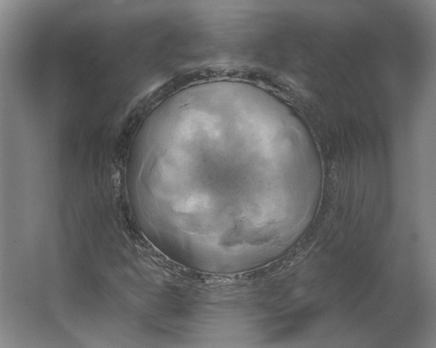 X0000063471302200602101730