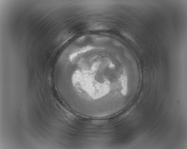 X0000063471305200602101730