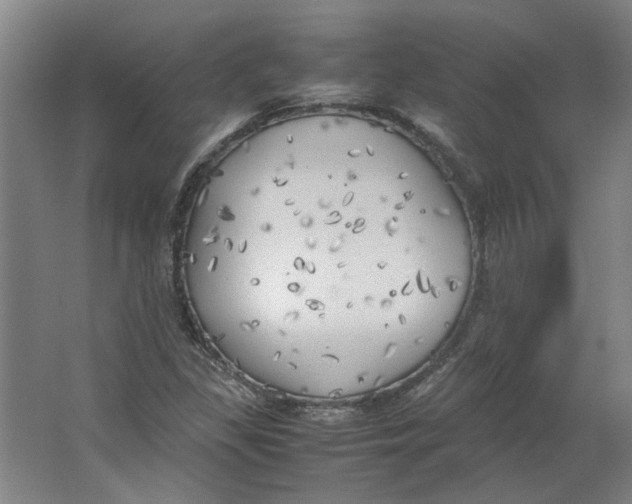 X0000063471309200602101730