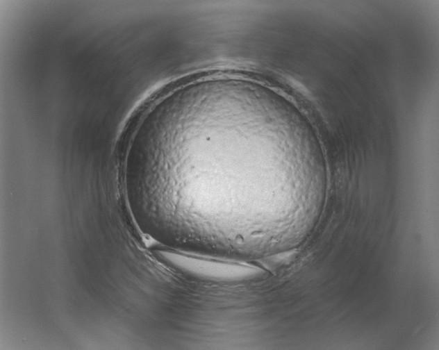 X0000063471310200602101730