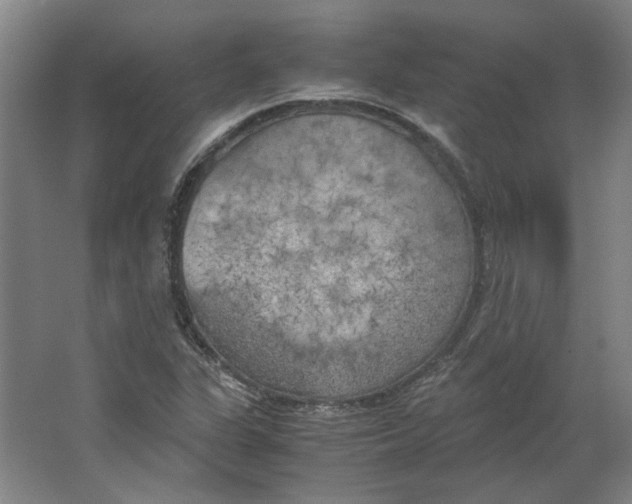 X0000063471311200602101730