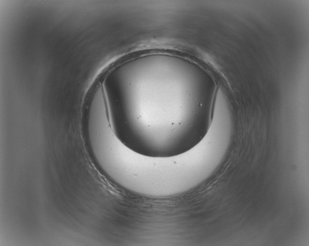 X0000063471312200602101730