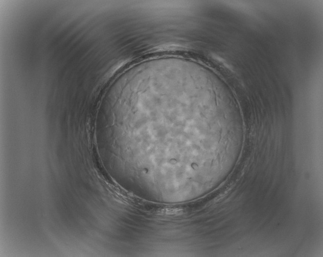 X0000063471313200602101730