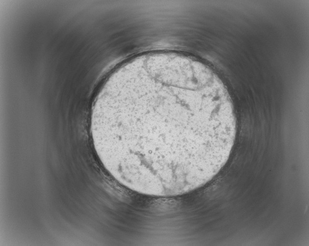 X0000063471314200602101730