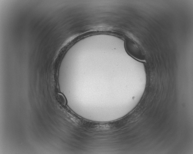 X0000063471315200602101730