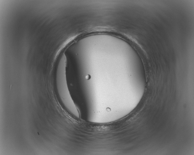 X0000063471317200602101730