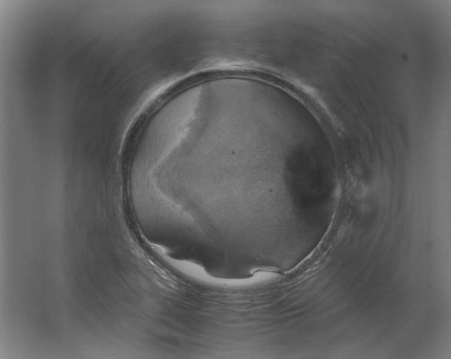 X0000063471319200602101730