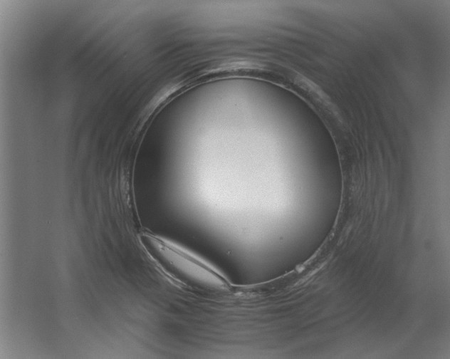 X0000063471321200602101730