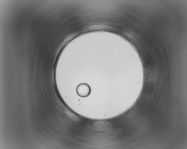 X0000063471322200602101730