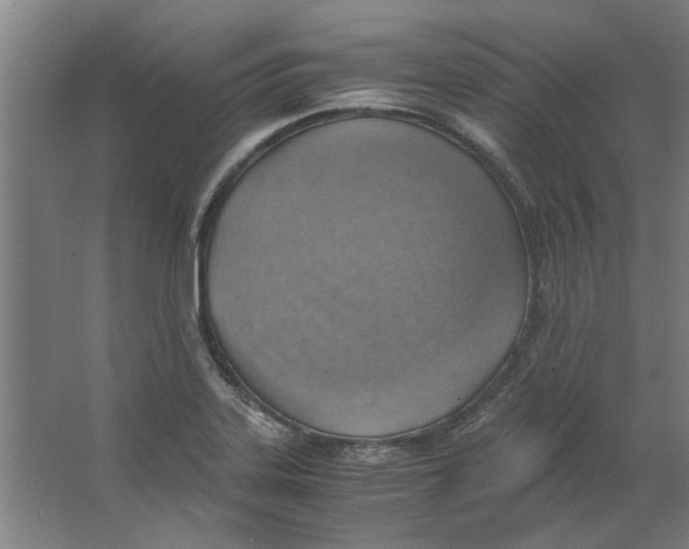 X0000063471323200602101730