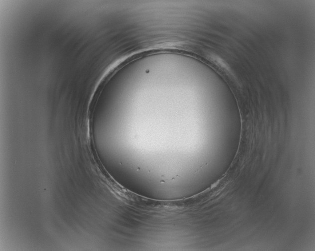 X0000063471324200602101730