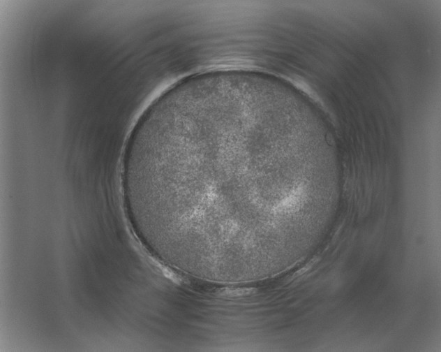 X0000063471325200602101730