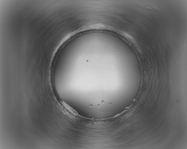 X0000063471326200602101730