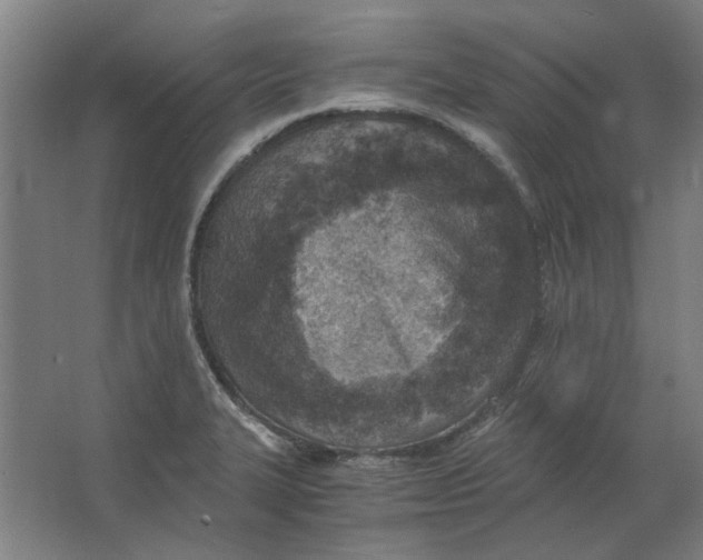 X0000063471327200602101730