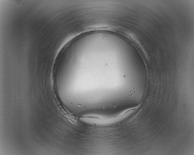 X0000063471328200602101730