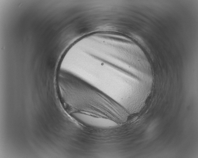 X0000063471331200602101730