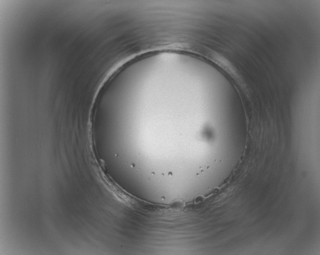 X0000063471332200602101730