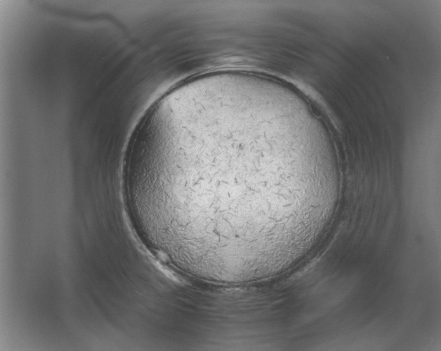 X0000063471333200602101730