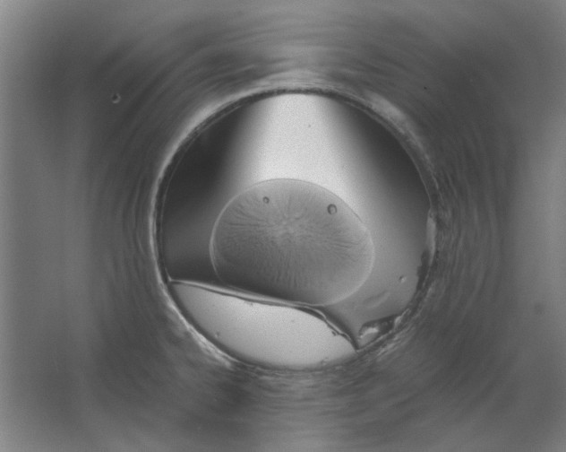 X0000063471334200602101730