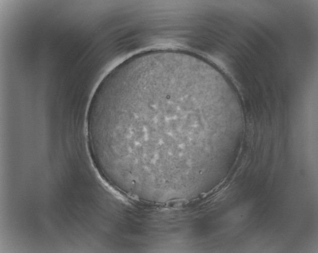 X0000063471335200602101730