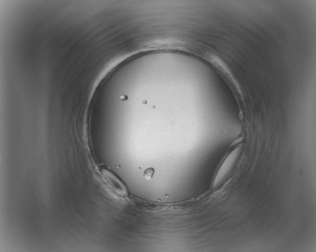 X0000063471336200602101730