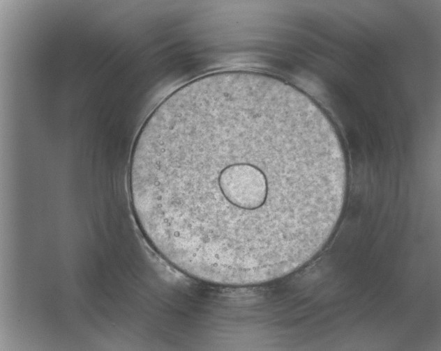 X0000063471338200602101730