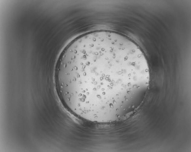 X0000063471339200602101730