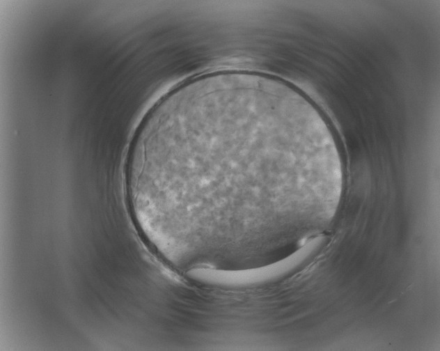 X0000063471341200602101730