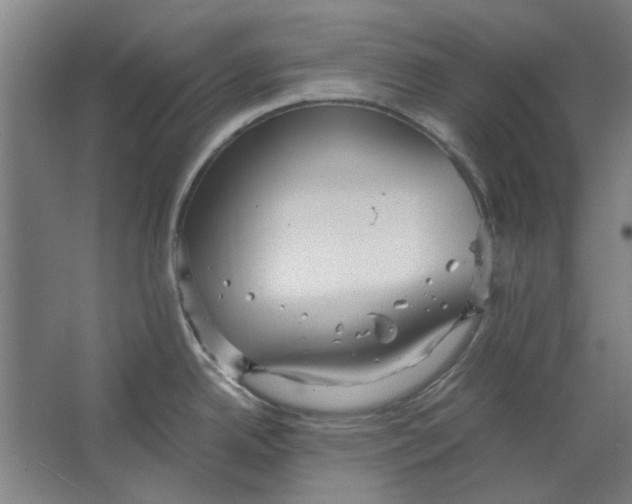 X0000063471342200602101730