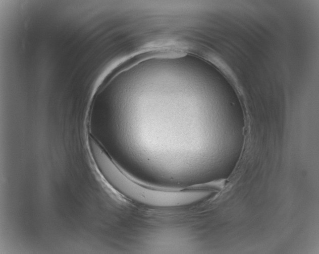 X0000063471344200602101731