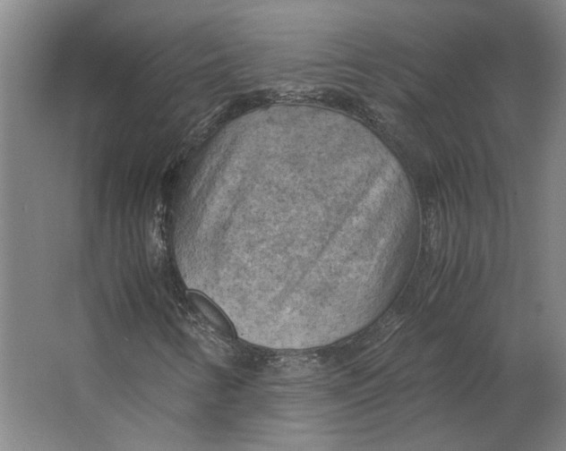 X0000063471346200602101730