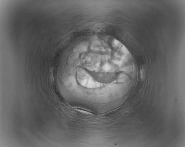 X0000063471347200602101730