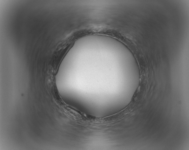 X0000063471349200602101730