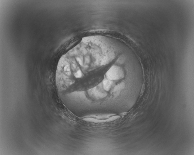 X0000063471351200602101730