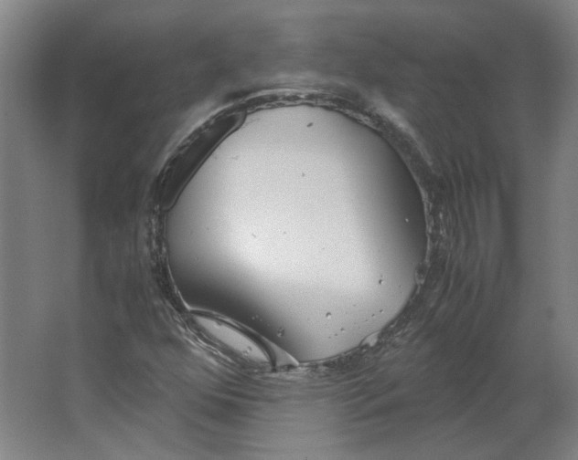 X0000063471352200602101730