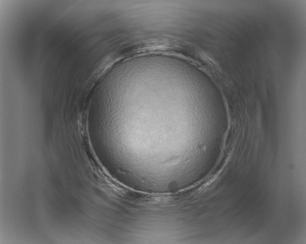 X0000063471353200602101730