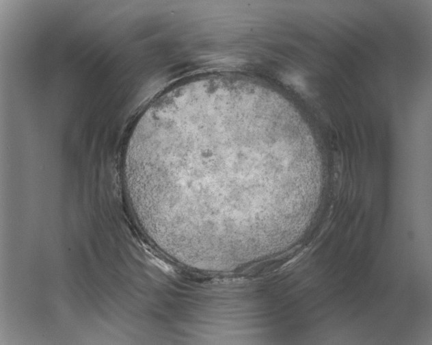 X0000063471354200602101730