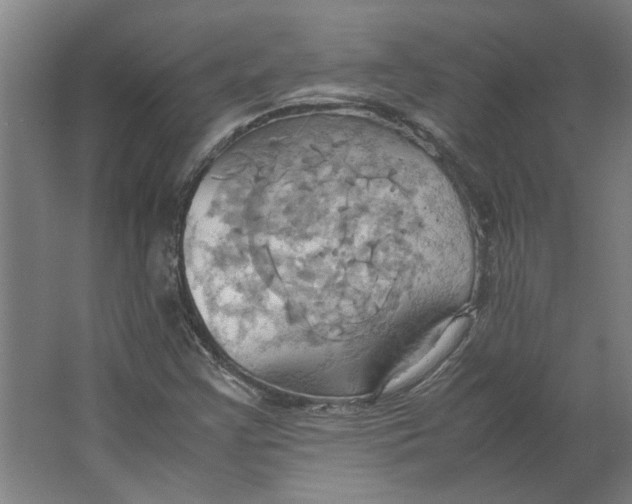 X0000063471355200602101730