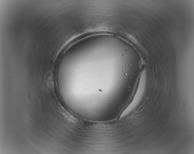 X0000063471356200602101729