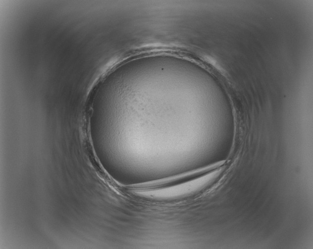 X0000063471357200602101729