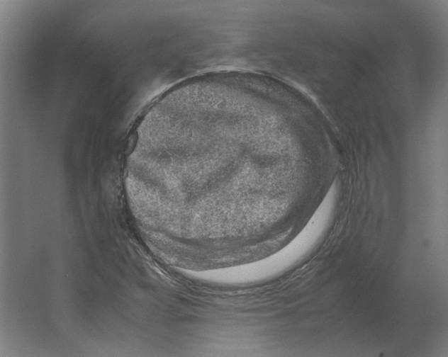 X0000063471359200602101729