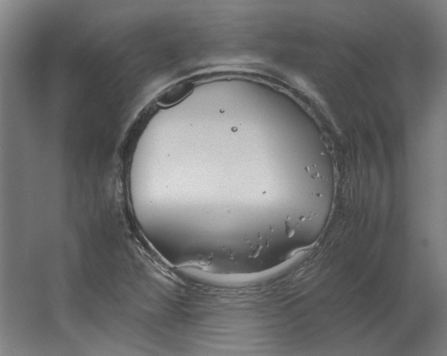 X0000063471360200602101729