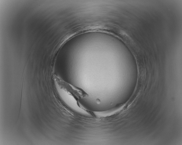 X0000063471361200602101729